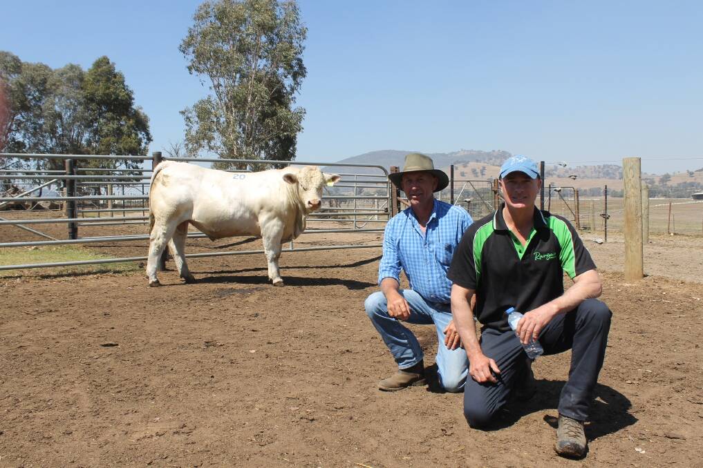 Purchaser of the top-price bull at Rangan Charolais, Dimontee Charolais stud principal, Michael Turra with Rangan Charolais stud principal, Graeme Cook. Lot 20 was purchased for $10,500.