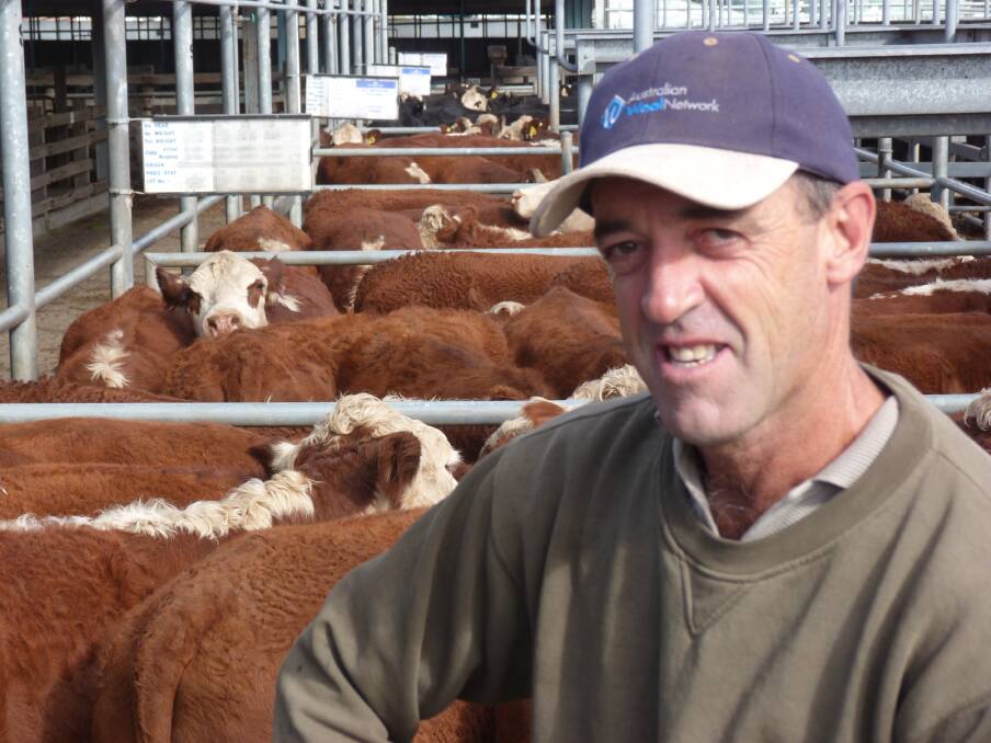 With the season closing in and plenty of mouths to feed, Jim Troy, Waubra cleared a large line of 117 Hereford grown steers, 477-530kg at Ballarat Friday he had hoped to finish as bullocks. The line sold to a top of $1060 and averaged $1021 a head 