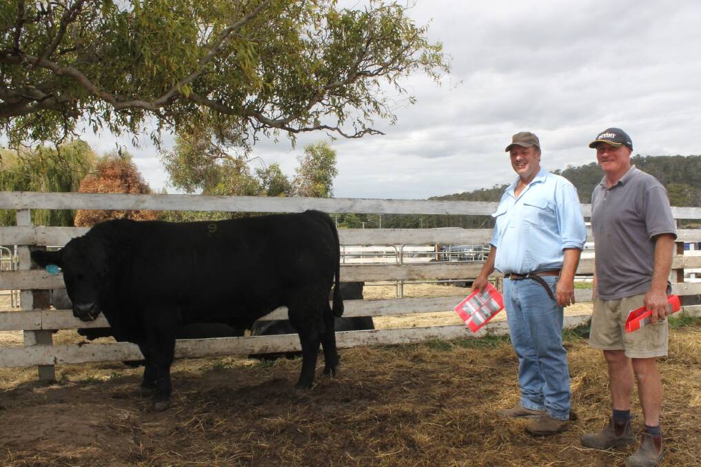 Quarter-Way Angus stud principal Trevor Hall (left) with one of the top-price-bull buyers, Ian Abraham, with lot 9, which made $8000.