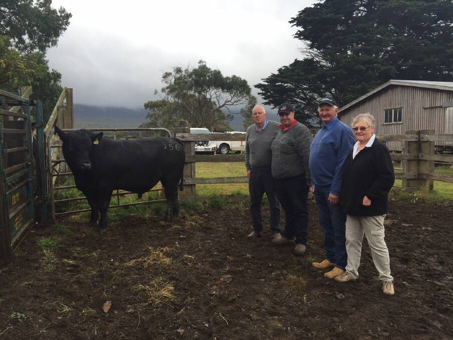 Roger (left) and Josh Mitchell, Mitchell Investments, bought both top-priced bulls at $9000. The Mitchells are pictured with Londavra stud principals David and Vivienne Young.