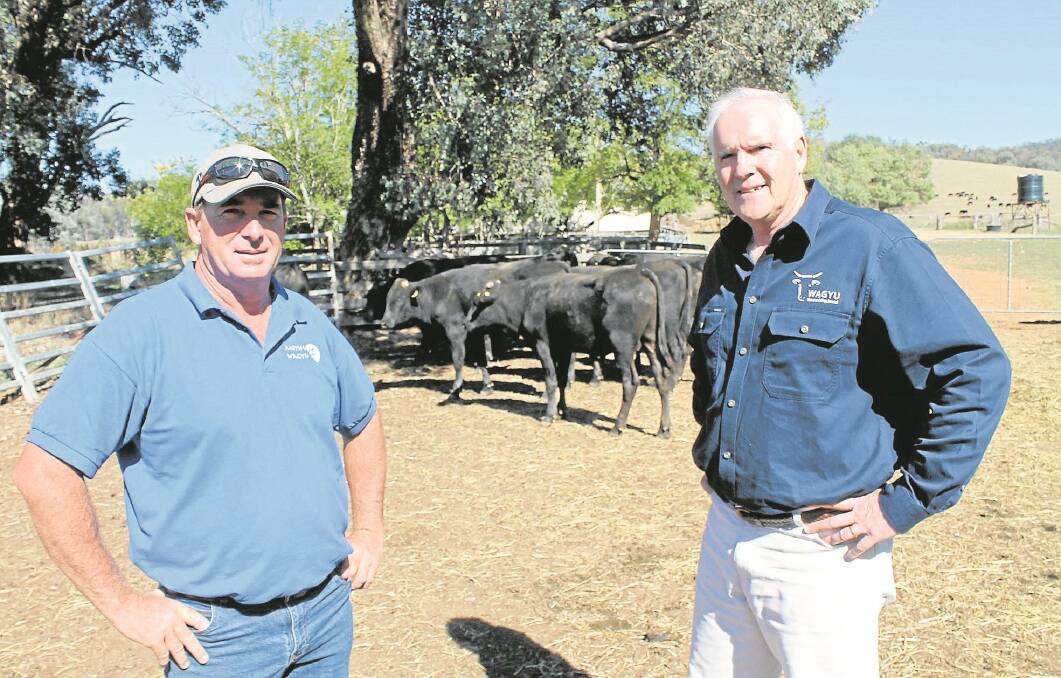 Moyhu Wagyu manager Wayne Grimshaw and Australian Wagyu Association chief executive Graham Truscott at the Victorian field day explaining the Wagyu Collaborative Genetics Research project which is set to revolutionise the Australian industry.