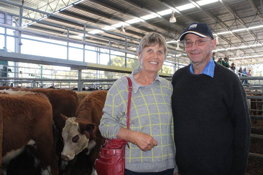 Willie (left) and Peter Cureton, Buxton, sold these eight Hereford steers for $620. They were pleased with the price as they bought them as calves at Yea in October and they had proved worthwhile.