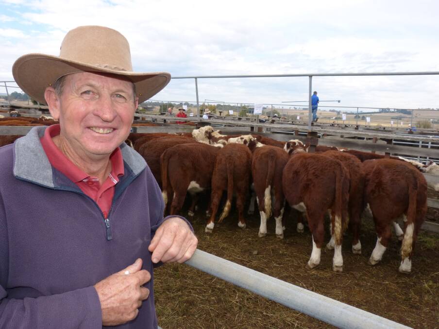 Peter Guthrie was at Bombala to see his steers and heifers sell. He offered 37 Hereford steers, which from $605-$785, and 16 heifers, $500-$640. Peter was very happy with the sale, especially after a couple of very poor years in 2013-2014.
