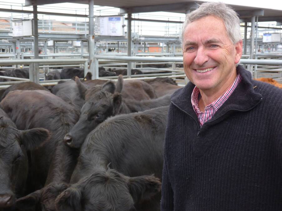 Richie Glennane, Dunnstown was all smiles when his market topping Angus heifers escaped the intense net of feeder buyers thrown over the Ballarat monthly store cattle market on Friday. The Glennane Te Mania-blood heifers made $1100 a head and were returned to the paddock by  a local Ballarat-district cattle breeder.  