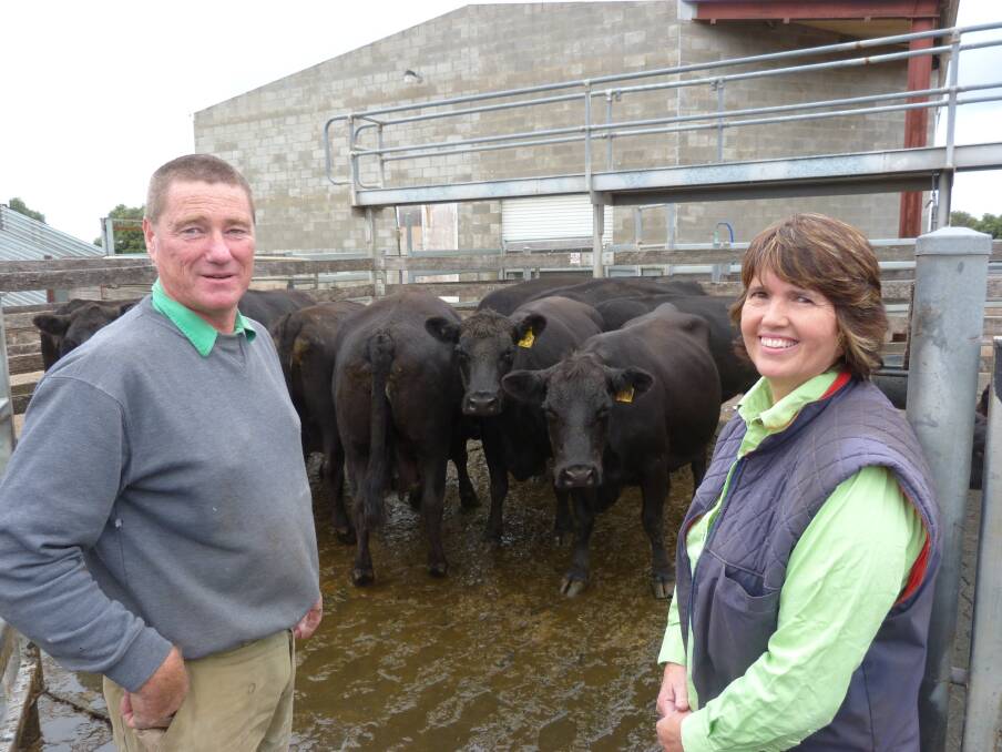 Reducing their on-farm stock numbers due to a "green" drought that has emerged throughout areas of the south-west, Steve and Sue Giblin were pleased to receive $1550 a head for fourth- and fifth-calved Angus cows at Warrnambool's April store cattle market.