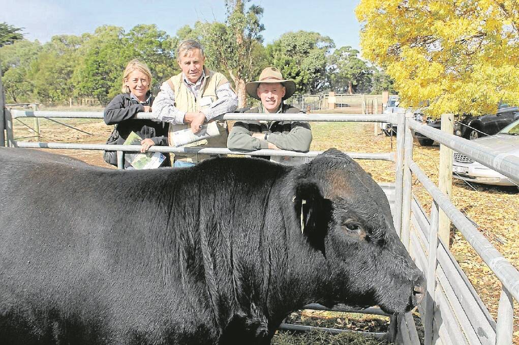 Barnhill Angus principals Jeanette (left) and Peter Honey, Orbost, and Holbrook Vet Centre’s Shane Thomson inspecting display bulls.