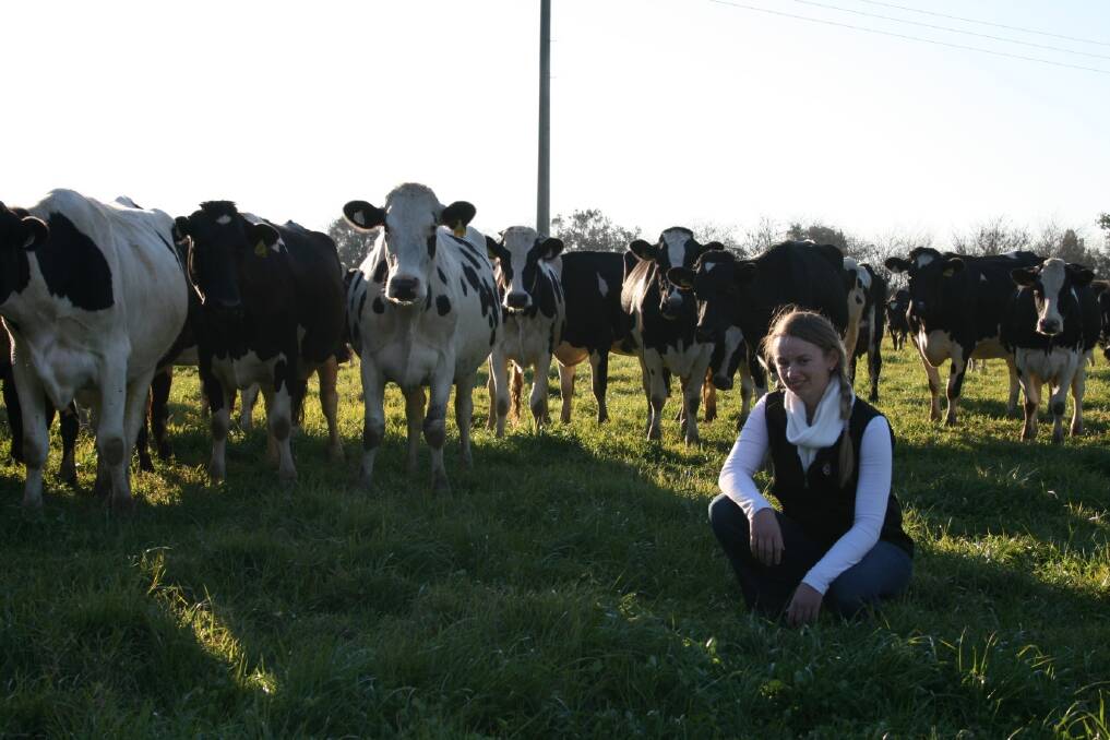FutureDairy postgraduate student, Ashleigh Wildridge is investigating the potential value of autofetching for robotic milking farms.