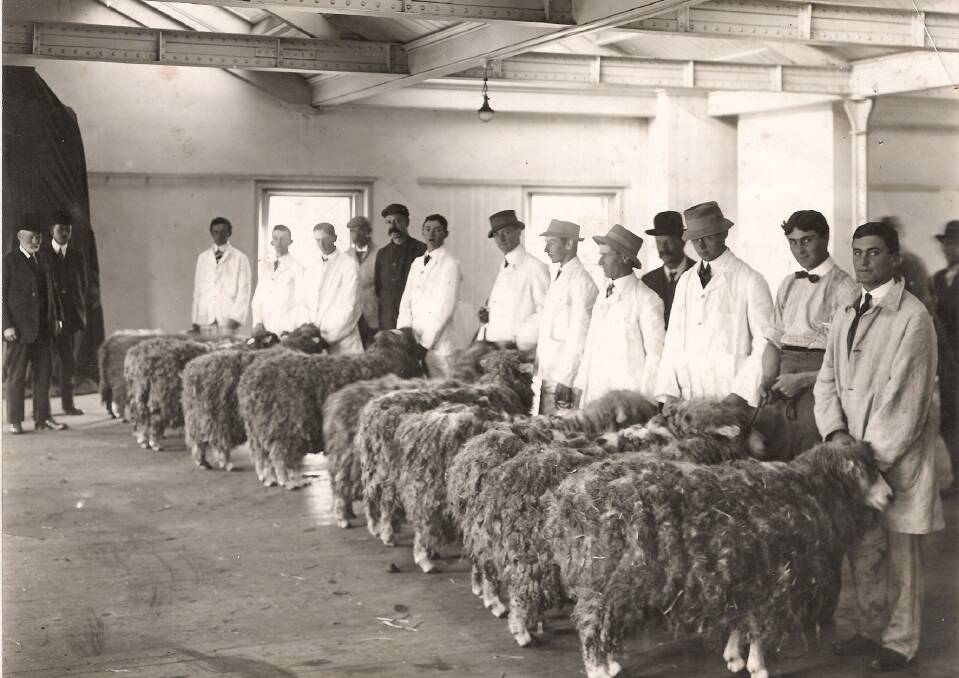 Sheep judging at The Gordon Wool School.