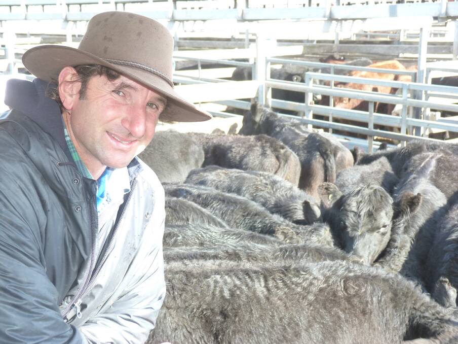 Beef producer, Peter Delany, Murroa East, with his 333kg Angus steers that fetched a market topping 310c/kg liveweight at Hamilton on Thursday.