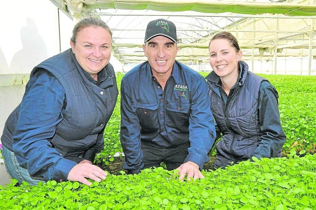 ATASA conference co-organisers Kymberley Warren and Danielle Westbrook with ATASA outgoing president Phil Roberts (middle), Coomandook, in one of the glasshouses at Holla Fresh at Tantanoola.