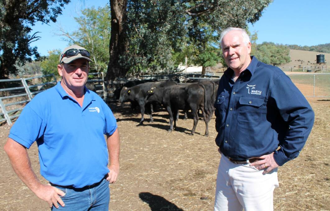Moyhu Wagyu manager Wayne Grimshaw (left) and Australian Wagyu Association chief executive Graham Truscott at the Victorian field day explaining the Wagyu Collaborative Genetics Research project which is set to revolutionise the Australian industry.