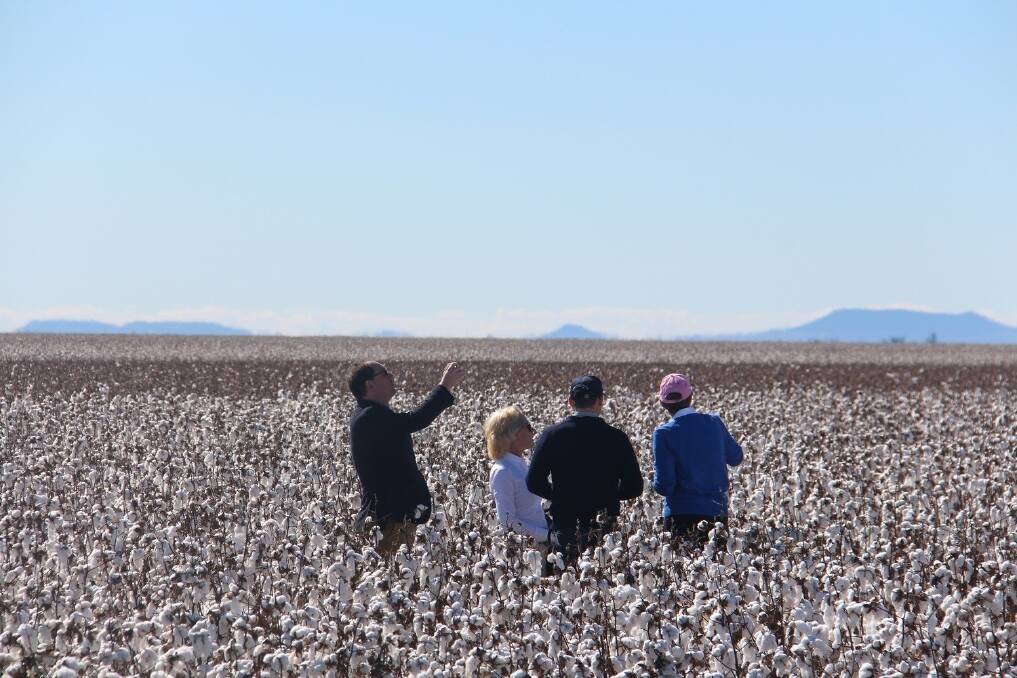Inspecting the crop at Auscott Narrabri earlier this year. Liberty Prints Fabrics Australia general manager Peter Redding (left), Darnell Collection curator Charlotte Smith and Auscott marketing manager and Australian Cotton Shippers Association chair Arthur Spellson with Mungindi grower and Cotton Australia board member Barb Grey.