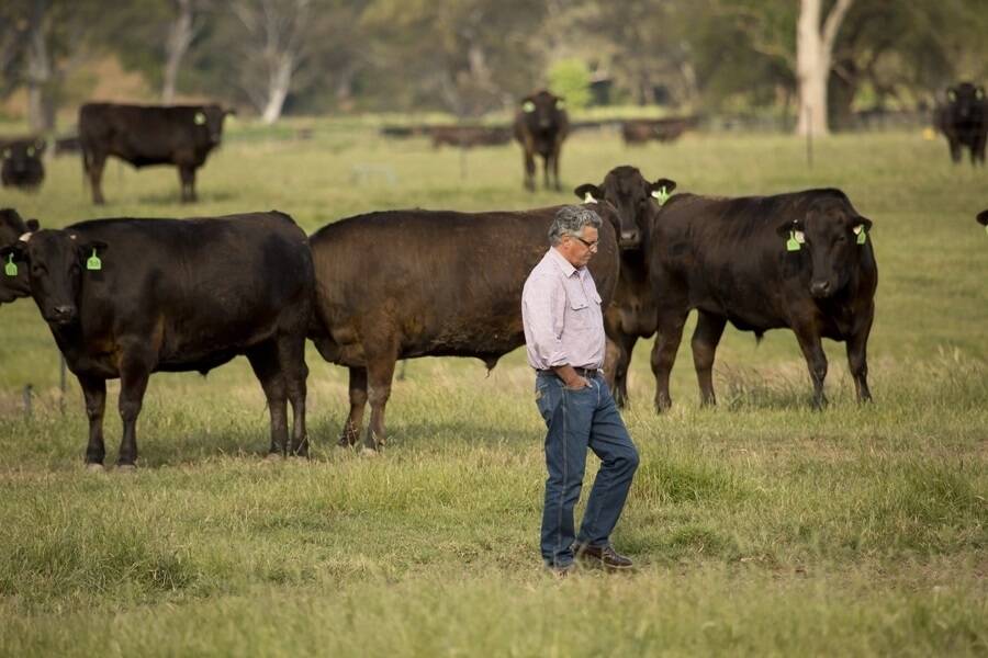 David Blackmore, Blackmore Wagyu, Alexandra, has had to dramatically reduce exports to China to ensure products are fully traceable in a bid to combat the company's products being counterfeited.