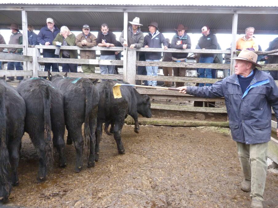 Charles Stewart's Peter McConachy, pictured at a recent cattle sale at Geelong, admitted he would be sad to see the Geelong saleyard close.