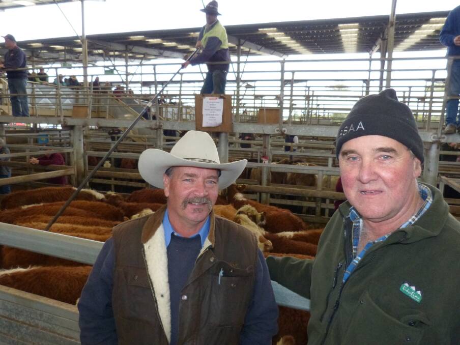 Steve Clark, San Remo (pictured with Rob Ould, Alex Scott & Staff, Wonthaggi) traded these Hereford steers on a short turnover after purchasing them in March, 2015. Buying them at the right price, adding weight, and selling in a good market worked in his favour. The Clarks' 25 yearling steers sold from $880-$975.