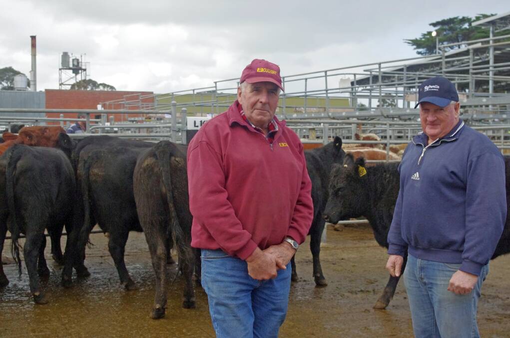 Jim Dean, Rosedale, with Don McMillan, Rodwells Sale, in front of Mr Dean's Angus cows and calves. First calvers with calves-at-foot, the units realised $1580. Mr Dean bought PTIC cows and sold cows, calves and weaner steers at last Friday's store market at Sale.