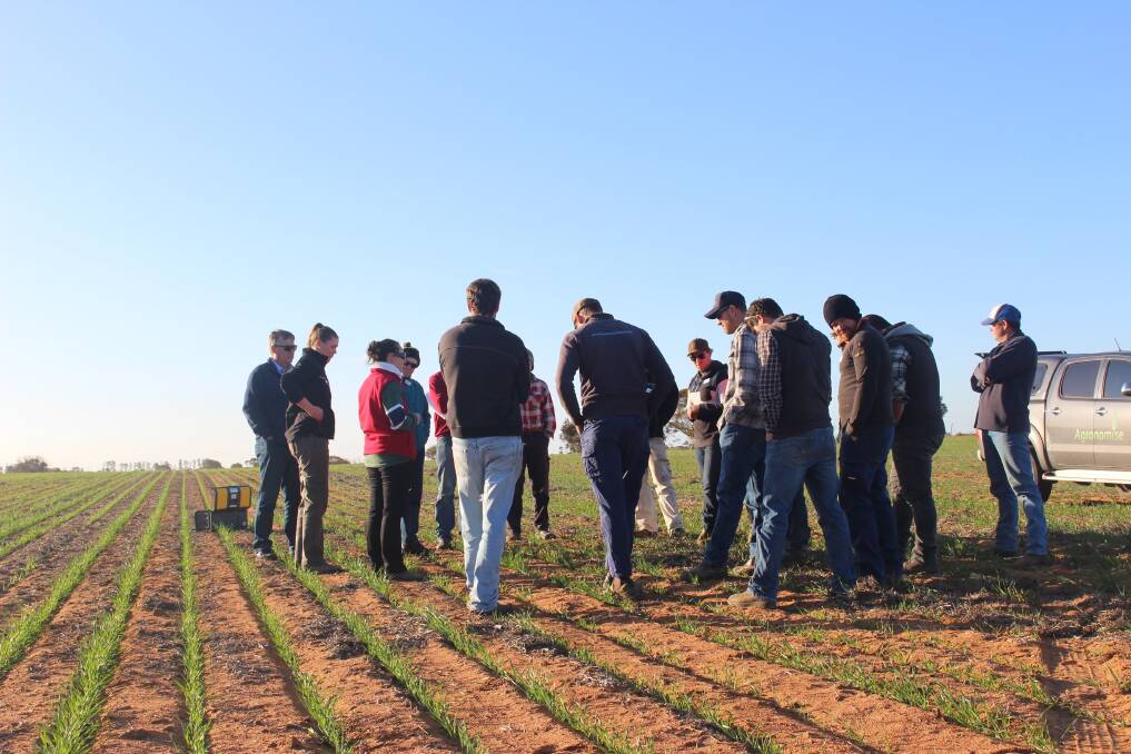 About 90 farmers from the Wimmera Mallee region attended the young grower groups last week.