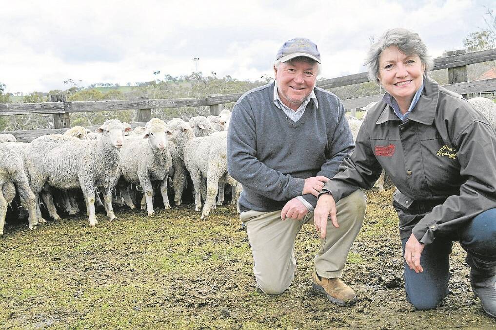 Paul and Jilly Blanch, Brightling Park Poll Merinos, Bathurst, NSW, have made some big changes to their operation.