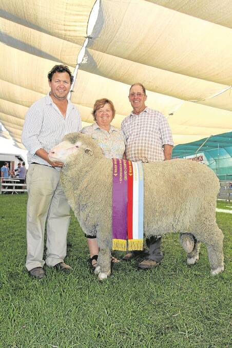 The WA Merino team for this year’s show will include 2015 Wagin Woolorama supreme exhibit and grand champion Poll Merino ram from the Bolt family’s Claypans stud, Corrigin. With the ram when it was sashed the supreme exhibit at the Woolorama in March are Claypans stud principals Steven (left), Lynette and Philip Bolt.