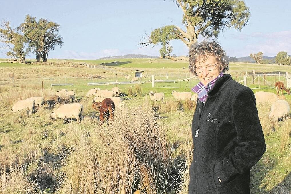 Marilyn Mangione runs a Shropshire stud and commercial operation at Strathbogie.