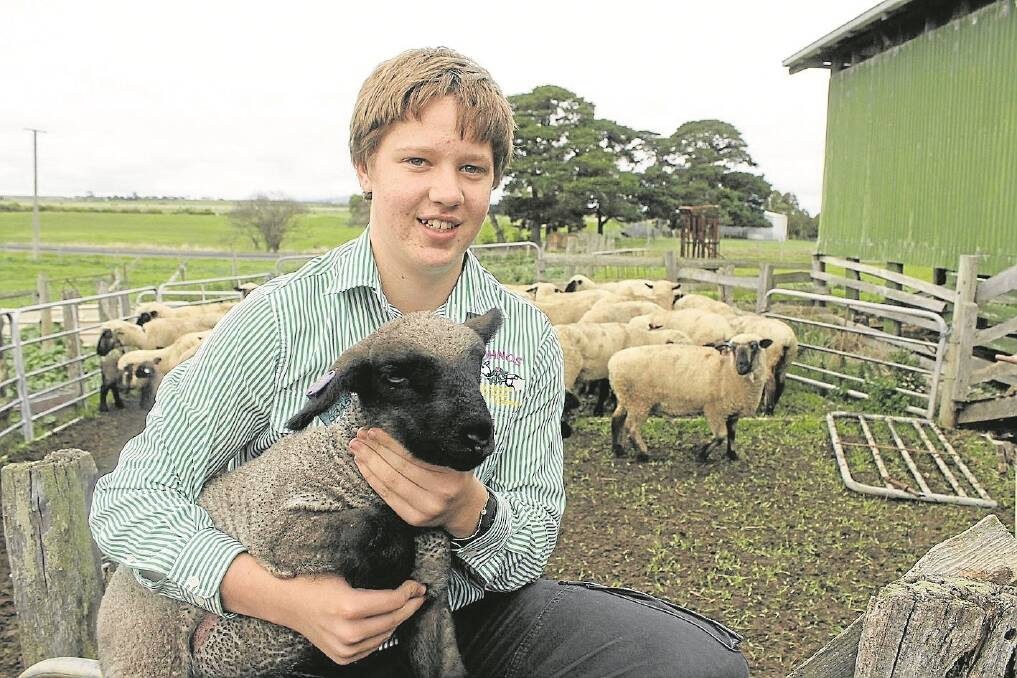 Brad Johnson, 17, shows off a Hampshire Down lamb on the family’s Eurack farm.