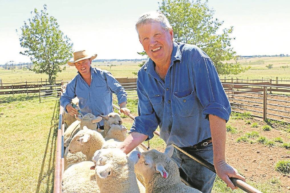 Bob Williamson and his son Chad with September 2014-drop White Suffolk-cross ewe lambs to be joined at seven months to White Suffolk rams.