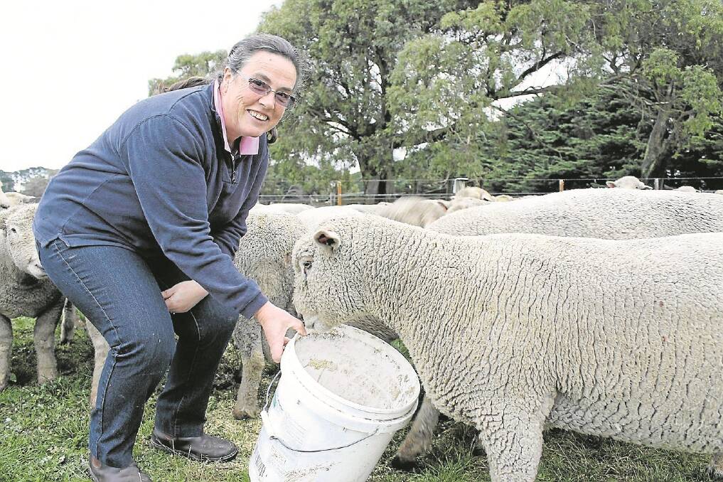 Lyn Dehnert likes Southdowns’ temperaments, their ease of lambing and growth rates.