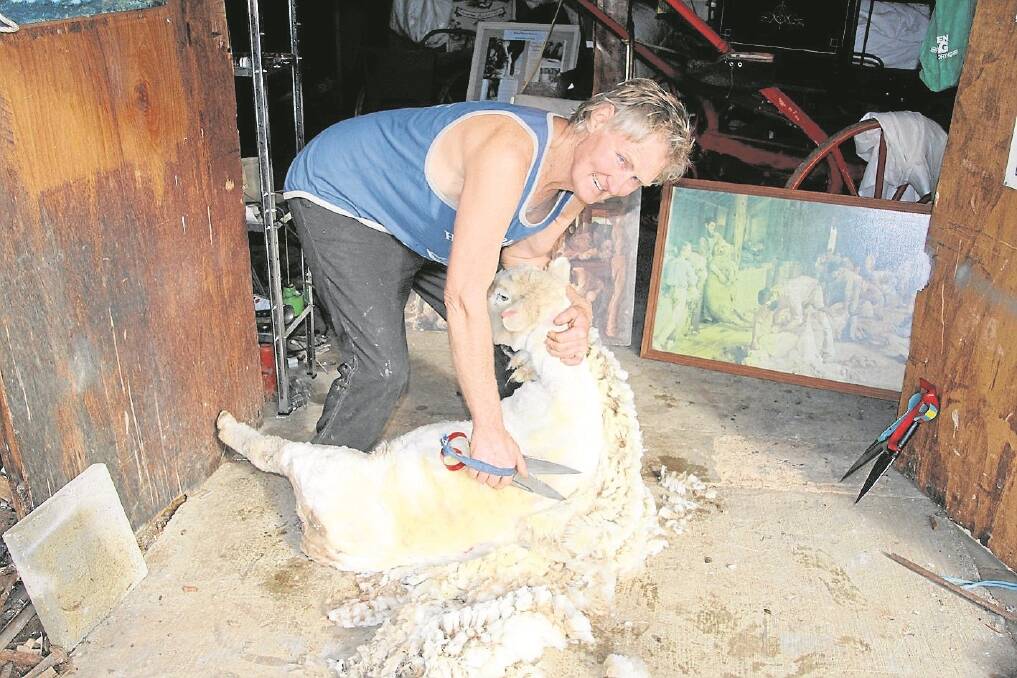 Richie Foster blade shears one of his ewes in front of the popular Tom Roberts painting The Shearing of the Rams.