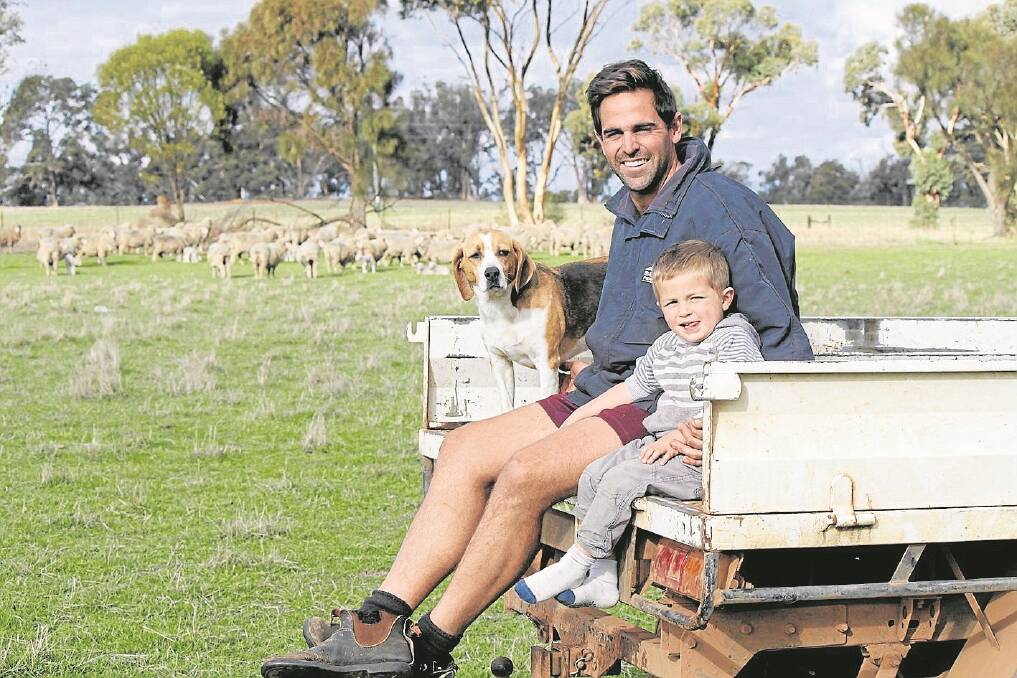 Mitch Hogg and his son Archie, 2, check on a mob of their lambing stud ewes.