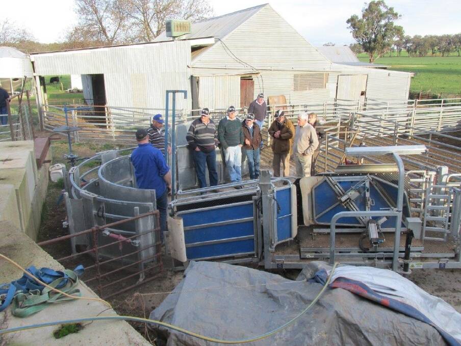 The SuperBorder group looking at sheep handling equipment at Noel and Rod Frohlings' farm at Burrumbuttock.