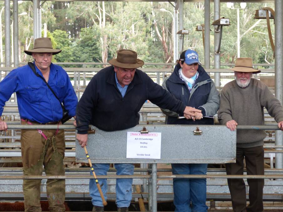 David Phelan introduces the team of a newly formed livestock agency, Phelan, Henderson & Co, which will operate out of the VLE’s Leongatha saleyards. David can be seen introducing rebate agent, Phillip Ruby, Anderson (right), Sarah Phelan, office manager, and left is Simon Henderson who was waiting to commence their steer sale at Leongatha on Thursday. 