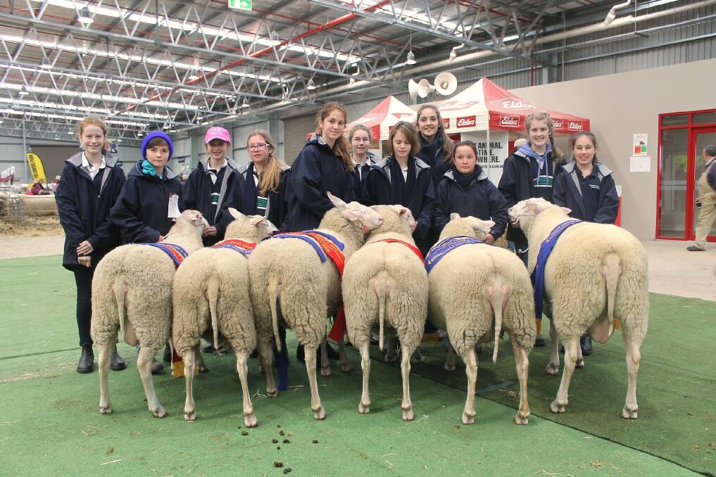 A group of year 7 Tintern School students hold their East Friesian show team.