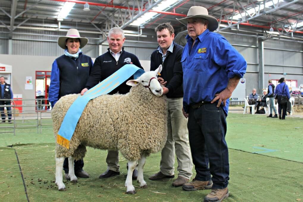 (LEFT) Retallack Border Leicester Isabella and Graham Grinter with judge Neil Johnson, Keith, SA and handler Ben Simmons, Leadville with the supreme Border Leicester exhibit.