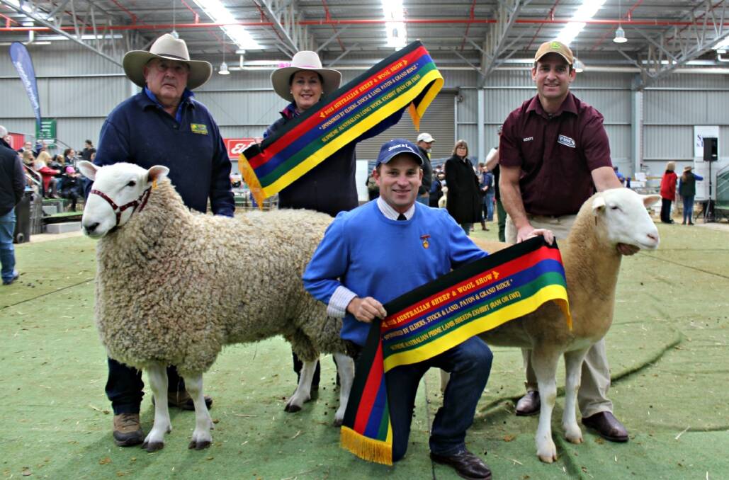 Supreme Australian Long Wool Exhibit was sashed to Retallack Border Leicester stud Graham and Isabella Grinter pictured with Rene White Suffolk principal Scott Mitchell who exhibited the winner of the Supreme Australian Prime Lamb Breed Exhibit. They are pictured with ASBA president Malcolm Starritt.