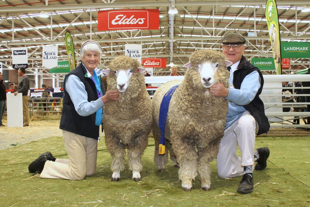 Brenda and Jim Venters with their winning national pair of Corriedale rams (the ram on the right also won junior champion ram in the open classes).