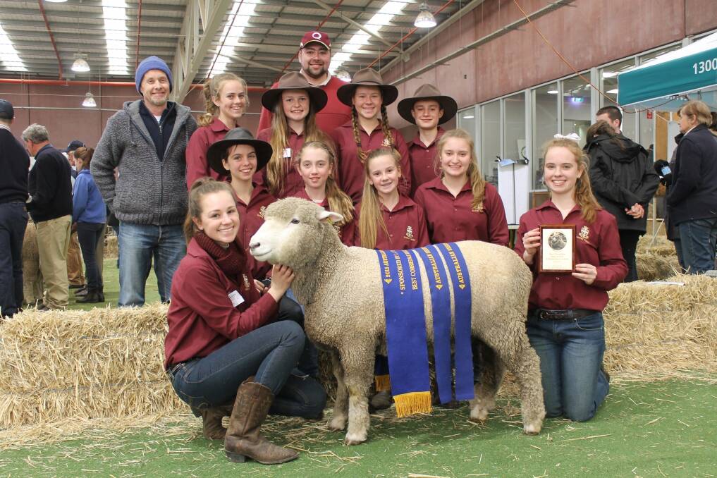 The Corriedale Breeders Association continued its encouragement of students and other youth.