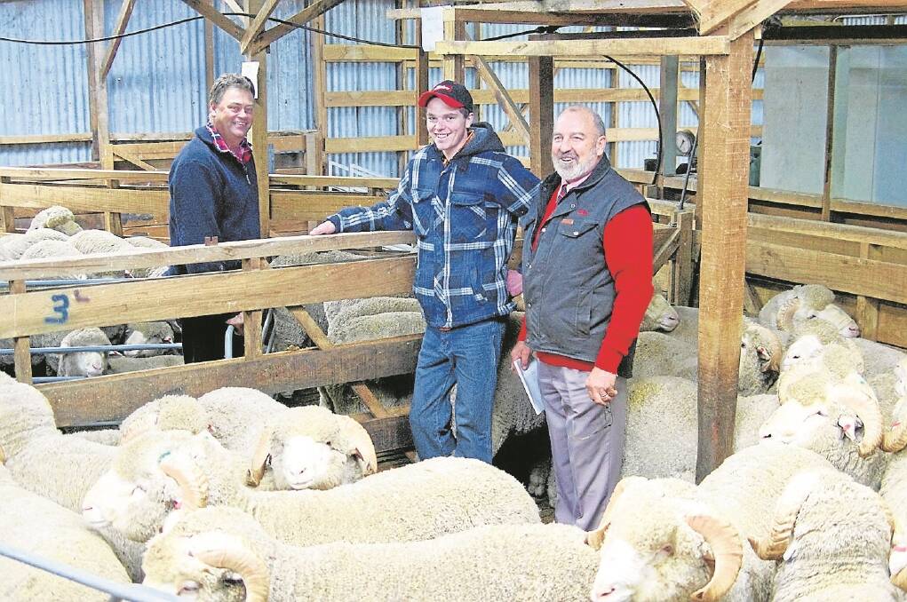 Swifts Creek woolgrower Tom King (centre) was inspecting rams at Pendarra Merino Stud, Benambra, with stud principal Kelvin Pendergast and Mal Nicholls, Elders Wool Manager.