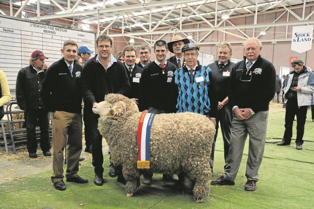 Paul Walton, Wurrrok, Rokewood, with the supreme champion Merion ram and the panel of judges and associate judges, who placed the ram on top through the superfine classes and beyond.