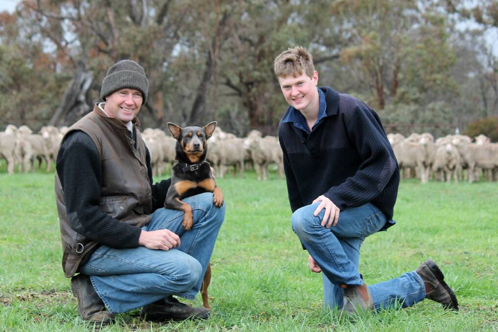 Simon and Tom Brady (pictured with Smokey) have increased production in their Merino operation by chasing early maturing bloodlines and supporting them with a resilient finishing program.