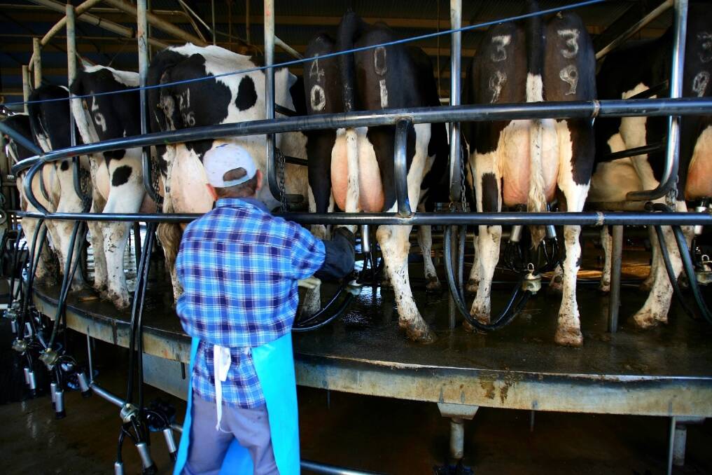 Dairy farmers can now use 457 skilled, temporary work visa to help address chronic labour shortages.