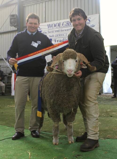 Wurrook and Glenpaen topped the Sheepvention 2015 Merino judging