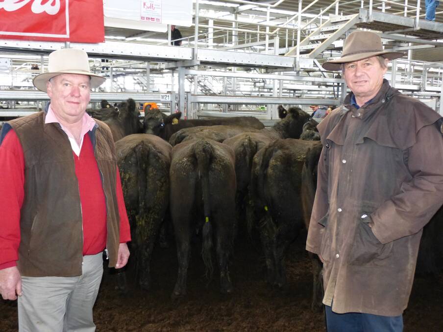 Greg McNamara (left) of Elders Finley, NSW, with John Hawkins, Woolamia Pastoral Co, Springfield, Finley, NSW, who was selling Angus heifers and calves at Wodonga last Thursday. Mr Hawkins sold 39 heifers with a very even line of 5 month-old, Werran blood calves at-foot. The heifers and calves were in very good condition and they made $1820-$2200.