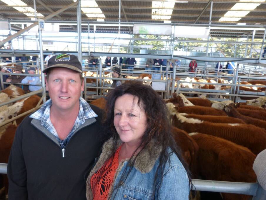 Phil & Kerry Geehman, Ensay, held onto their heifers, rather than sell them in the mountain sales in March. That decision proved to be very beneficial as their 30 Hereford heifers for $1200&$1220. This was $70-$90 higher than their best pen of steers sold in March. However, while everyone thought the March sales were very good, this feature spring sale of Wyndham Livestock at Bairnsdale on Tuesday