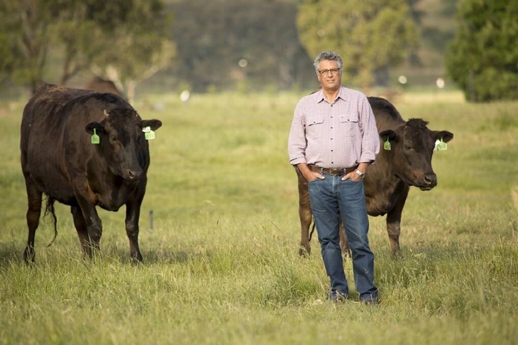 Gov to rule on Wagyu permit