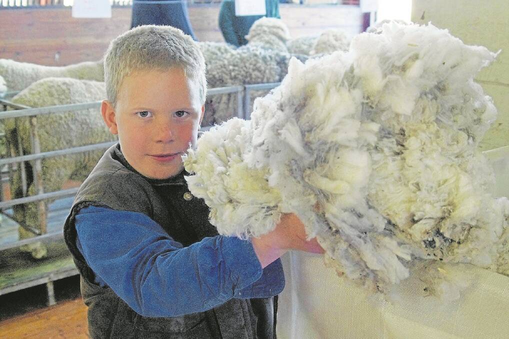 Jamieson Stewart, 7, with belly wool.