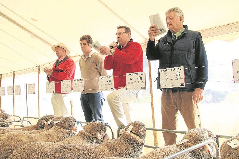 The Glenelg Regional Merino Field Day & Sale achieved a strong sale result. Photo: West Wimmera Advocate