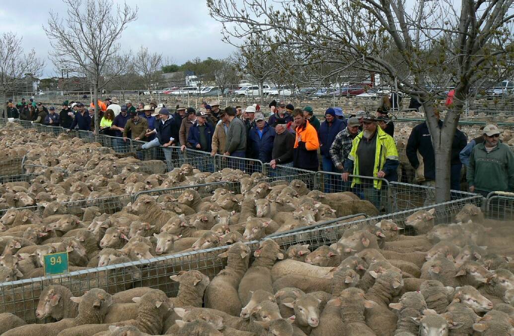 Part of the large crowd in attendance at the Ouyen Livestock Exchange sheep sale last week.