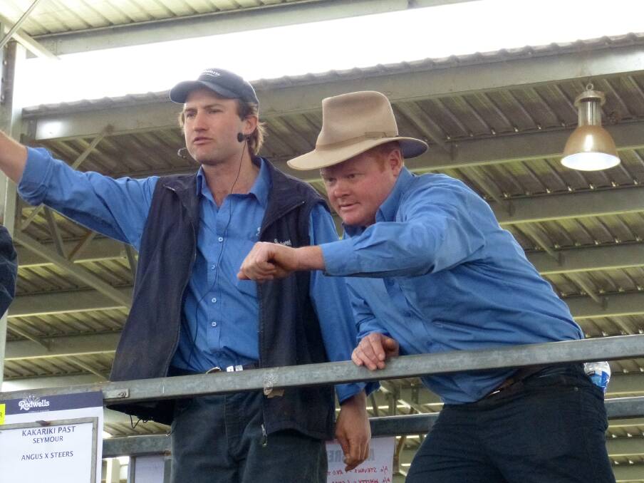 Rodwells auctioneer Anthony Delaney and Rodwells Yea/Alexandra manager Adam Mountjoy at the recent Yea store cattle sale.