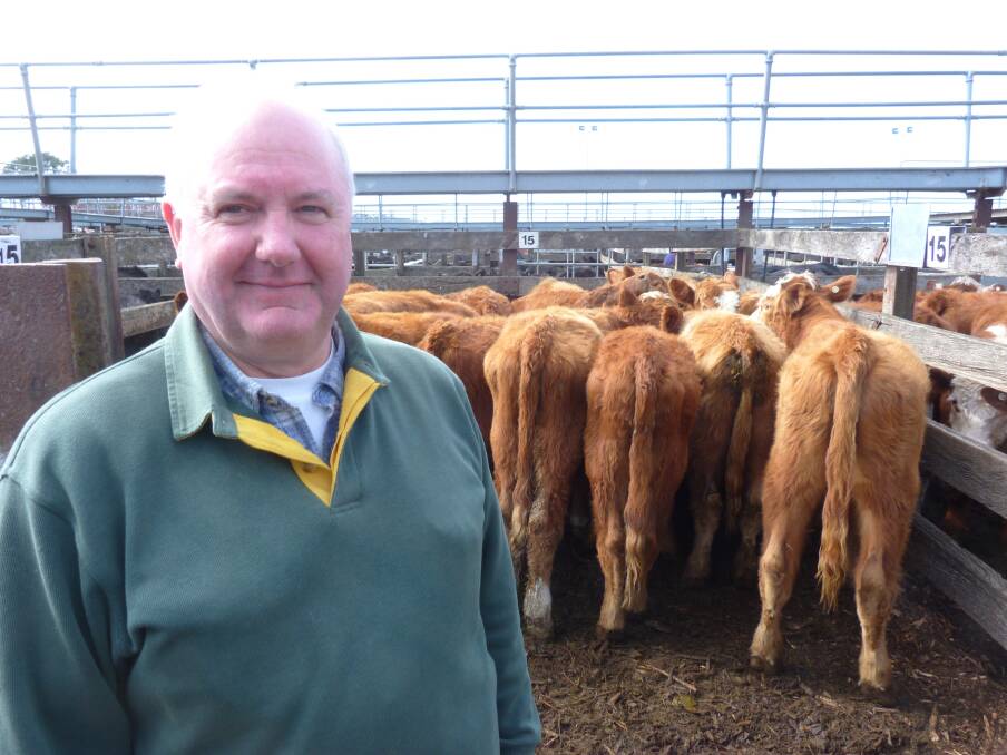 Alan James of Newnham was more than pleased with his price of $905/head he received for a pen of 18 Hereford-Red Angus-Limousin steers that weighed 228kg. He description the cattle as not having a lot of weight but offering plenty of frame.