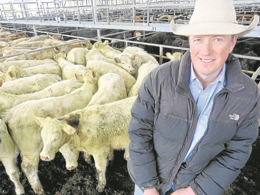 Lyntol Partners manager, Russ Bradley said his pure Palgrove-blood Charolais weaners have never seen a bad day at their Officer property, Kaduna Park. Sept//Nov-born and some reared by first-calf heifers the lead of the Lyntol Partners steers, 379kg, made $1340 at Yea while a second pen, 322kg made $1120. 